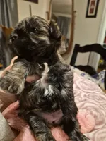 processed/1f6d1505-8539-47f9-8a83-b7ca3fa24b15/listing/5b7b19da-8e46-459a-90fd-3ad31d3bc244/87929785-00c8-4591-be1e-67ef588e2065