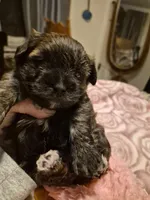 processed/1f6d1505-8539-47f9-8a83-b7ca3fa24b15/listing/5b7b19da-8e46-459a-90fd-3ad31d3bc244/c0a57ba6-3dd8-4e15-a53b-b0a264f03d59