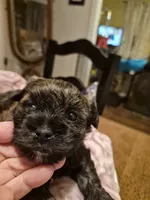 processed/1f6d1505-8539-47f9-8a83-b7ca3fa24b15/listing/5b7b19da-8e46-459a-90fd-3ad31d3bc244/f790215a-9a7d-4286-a9cb-b47638f435fb