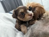 processed/1f6dedb3-81e4-46b9-a265-9304d4f3a8db/facility/6684ec62-c754-4a22-a78d-3deafb310a97