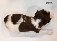 processed/1f70afa3-e196-494e-868b-982b261055b5/listing/b2580977-b7c3-46d5-bf4f-6c3c88ca7b98/a809ab97-4de1-41a2-a865-463a142f4e3c