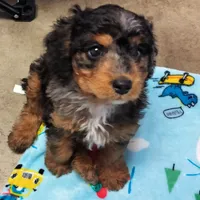 processed/1f72894e-cb55-4897-aeaf-a9555d943f86/facility/1fe8b15f-a7e5-454f-bc58-97faffc1eebc