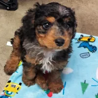 processed/1f72894e-cb55-4897-aeaf-a9555d943f86/facility/1fe8b15f-a7e5-454f-bc58-97faffc1eebc