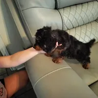 processed/1f72894e-cb55-4897-aeaf-a9555d943f86/facility/3d62d273-ab1a-42db-ad83-0b3697f2929e