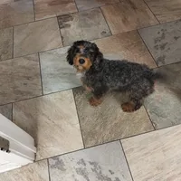 processed/1f72894e-cb55-4897-aeaf-a9555d943f86/facility/5d9b40ce-0a08-4108-b4bd-0e8529e0d6ba