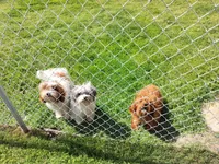 processed/1f72894e-cb55-4897-aeaf-a9555d943f86/facility/76a5a555-b044-44c1-8705-227f9686883a