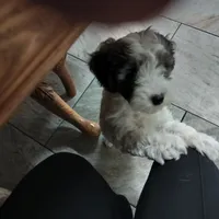 processed/1f72894e-cb55-4897-aeaf-a9555d943f86/facility/78e1a621-3c3d-466c-a1be-fe6635a606d6