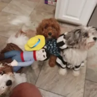 processed/1f72894e-cb55-4897-aeaf-a9555d943f86/facility/e75e3162-f4dc-4f2c-ba7c-51043b9b62de