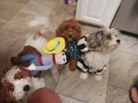 processed/1f72894e-cb55-4897-aeaf-a9555d943f86/facility/e75e3162-f4dc-4f2c-ba7c-51043b9b62de