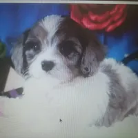 processed/1f72894e-cb55-4897-aeaf-a9555d943f86/facility/f564faf6-d2b8-4f2c-88e2-cd81edebec64