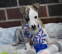 processed/1f76d7e7-a6c2-4118-be0f-c6fc303cdf02/listing/07f669af-a352-4c88-97c0-28e6137549ee/3367aa45-9fe5-4d4d-b4d2-60106dd2da20