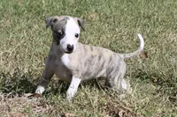 processed/1f76d7e7-a6c2-4118-be0f-c6fc303cdf02/listing/07f669af-a352-4c88-97c0-28e6137549ee/410a5c6e-a4f6-41ef-b865-c4631ac42682