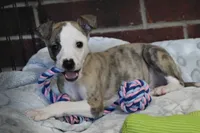 processed/1f76d7e7-a6c2-4118-be0f-c6fc303cdf02/listing/07f669af-a352-4c88-97c0-28e6137549ee/53201360-ec71-43b8-94e5-f106672c85ba