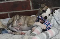 processed/1f76d7e7-a6c2-4118-be0f-c6fc303cdf02/listing/07f669af-a352-4c88-97c0-28e6137549ee/f299c21d-4a1a-4026-9122-9e07ff5f9043