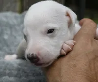 processed/1f76d7e7-a6c2-4118-be0f-c6fc303cdf02/listing/2dfe9de3-1003-4ccd-ba84-dc20fe04bd0b/1c36386b-2b33-40c4-90a3-7e8fb2e67e91