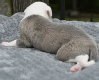 processed/1f76d7e7-a6c2-4118-be0f-c6fc303cdf02/listing/2dfe9de3-1003-4ccd-ba84-dc20fe04bd0b/5fe527ec-ea79-487e-87a7-e5279a57e73c