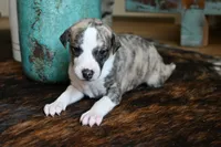 processed/1f76d7e7-a6c2-4118-be0f-c6fc303cdf02/listing/5b6c43fe-09cd-461d-b0ec-855ffc2265b6/87944aee-4387-4b3d-a6f5-04796e0d3e85