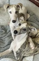 processed/1f76d7e7-a6c2-4118-be0f-c6fc303cdf02/listing/5b6c43fe-09cd-461d-b0ec-855ffc2265b6/ce677362-1511-476b-88aa-6c8ffe9d9489