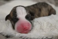 processed/1f76d7e7-a6c2-4118-be0f-c6fc303cdf02/listing/5b6c43fe-09cd-461d-b0ec-855ffc2265b6/d0609687-6066-4b7c-a1af-50ccd13e15ac