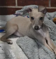 processed/1f76d7e7-a6c2-4118-be0f-c6fc303cdf02/listing/6e664d42-dd00-42ad-abea-e1008950e073/39a459e6-665b-4345-9f32-db1aad2f0aaa