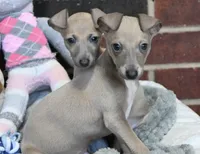 processed/1f76d7e7-a6c2-4118-be0f-c6fc303cdf02/listing/6e664d42-dd00-42ad-abea-e1008950e073/8109d9b5-c26f-40af-856d-39f7d664569c