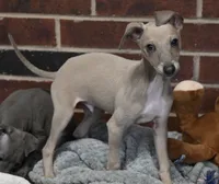 processed/1f76d7e7-a6c2-4118-be0f-c6fc303cdf02/listing/6e664d42-dd00-42ad-abea-e1008950e073/ae606b49-7fca-4e1e-9537-512ec549b1b3