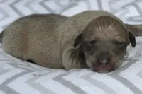 processed/1f76d7e7-a6c2-4118-be0f-c6fc303cdf02/listing/6e664d42-dd00-42ad-abea-e1008950e073/b063b0f4-cd4e-4cc8-b2ea-0ddf89c8f14d