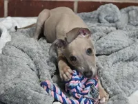 processed/1f76d7e7-a6c2-4118-be0f-c6fc303cdf02/listing/6e664d42-dd00-42ad-abea-e1008950e073/f87db8c7-7ff2-4868-971a-8ca89551842f