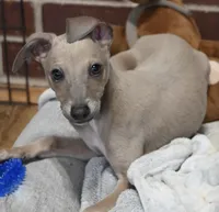 processed/1f76d7e7-a6c2-4118-be0f-c6fc303cdf02/listing/6e664d42-dd00-42ad-abea-e1008950e073/fc44b09c-2b1e-4095-b1eb-7e26be465791