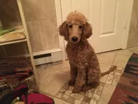 processed/1f781c95-3a2a-4261-b5df-ffe8142d0262/facility/24c78768-1245-4121-939a-31d326530170