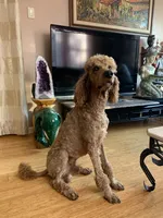 processed/1f781c95-3a2a-4261-b5df-ffe8142d0262/facility/4bff8fa0-b71b-4336-bb42-3e4d29308eb1