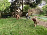 processed/1f781c95-3a2a-4261-b5df-ffe8142d0262/facility/4dfd425f-5f7a-4cfc-828a-c9788a385a85