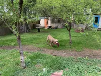 processed/1f781c95-3a2a-4261-b5df-ffe8142d0262/facility/788bd56b-4250-4560-ab94-4335734ad6a8