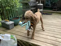 processed/1f781c95-3a2a-4261-b5df-ffe8142d0262/facility/d6161832-7df4-4681-a83e-05a965a47b00