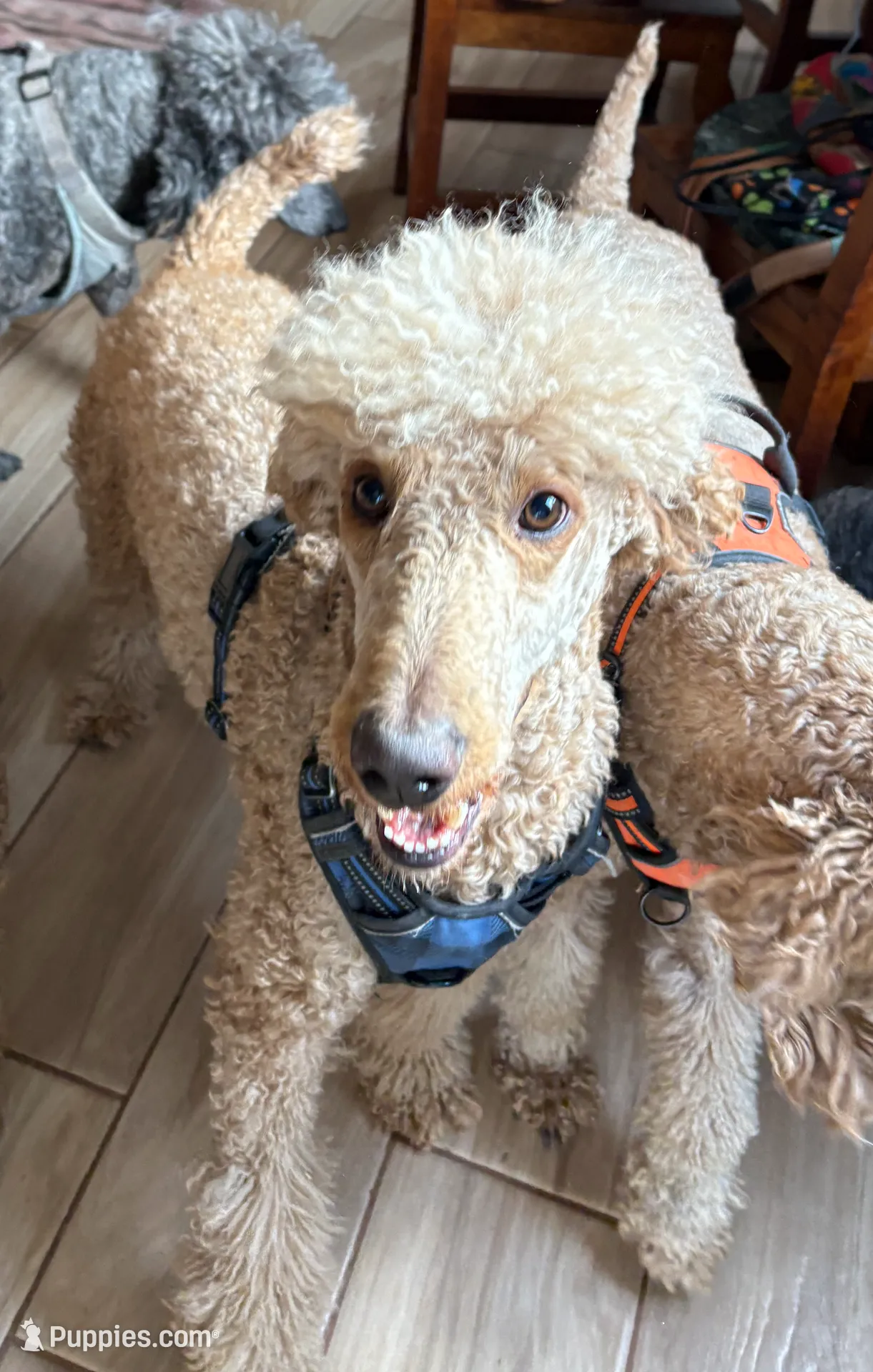 processed/1f781c95-3a2a-4261-b5df-ffe8142d0262/listing/101eddda-d90b-4898-843e-9fa398727771/04a26604-608d-44bd-9911-19a97dafa164