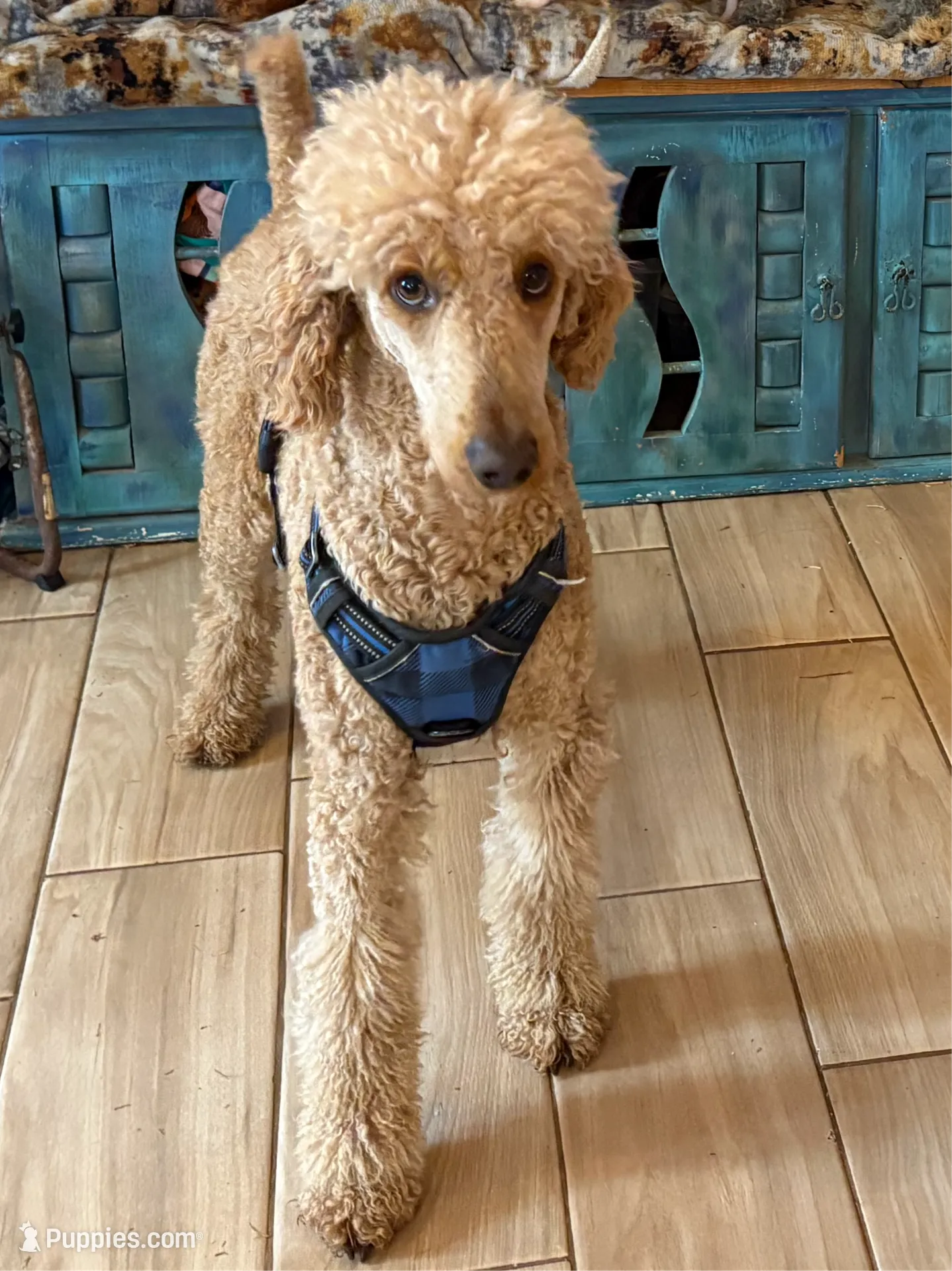 processed/1f781c95-3a2a-4261-b5df-ffe8142d0262/listing/101eddda-d90b-4898-843e-9fa398727771/0bce8a4a-3d10-4fd2-bb1d-d4559eaa2924