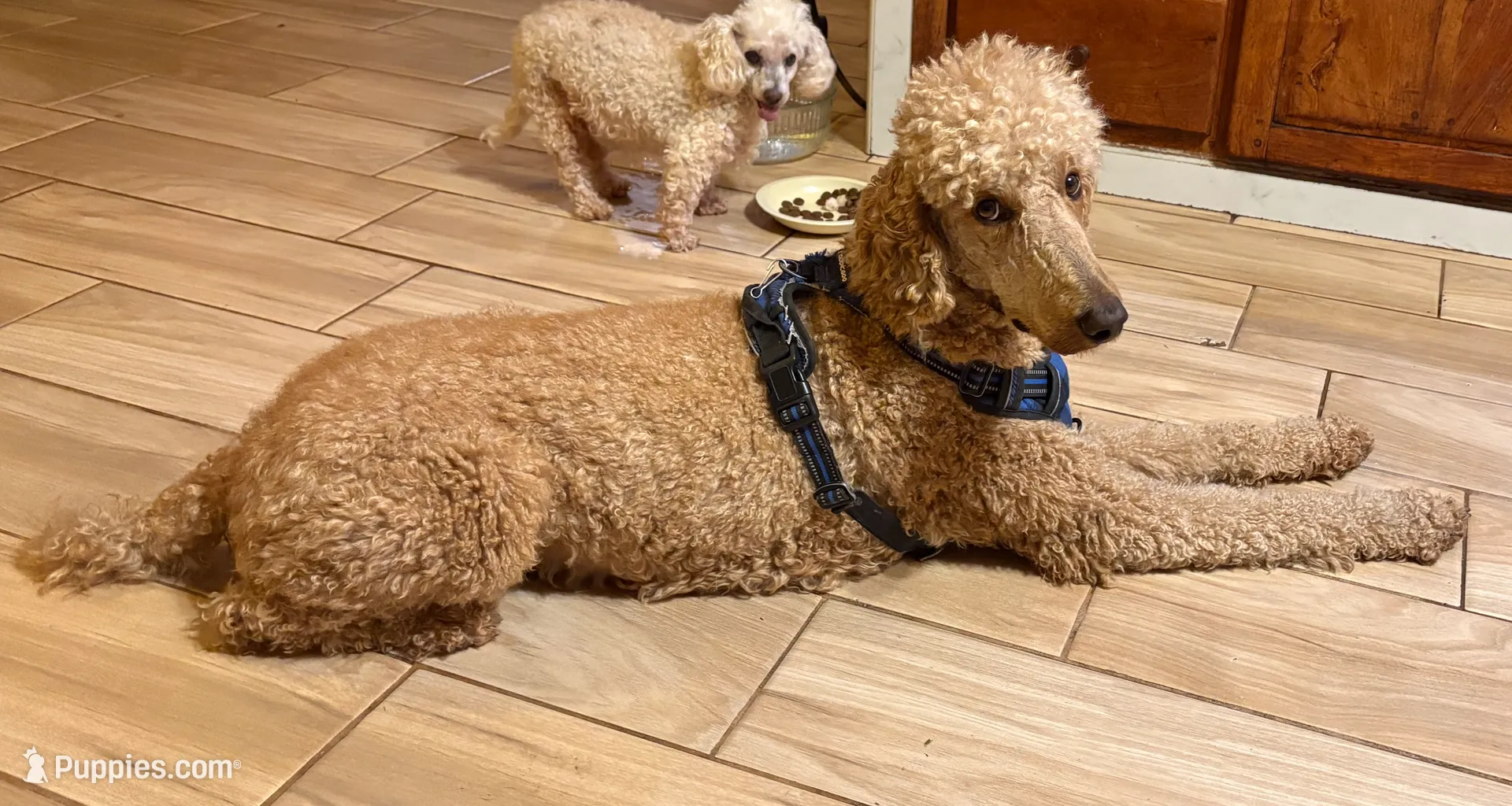 processed/1f781c95-3a2a-4261-b5df-ffe8142d0262/listing/101eddda-d90b-4898-843e-9fa398727771/195d8477-4dde-4af9-9720-62b0765623e2