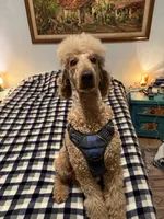 processed/1f781c95-3a2a-4261-b5df-ffe8142d0262/listing/101eddda-d90b-4898-843e-9fa398727771/5f55a66b-f0b1-4d29-9e82-69cbe11472f9