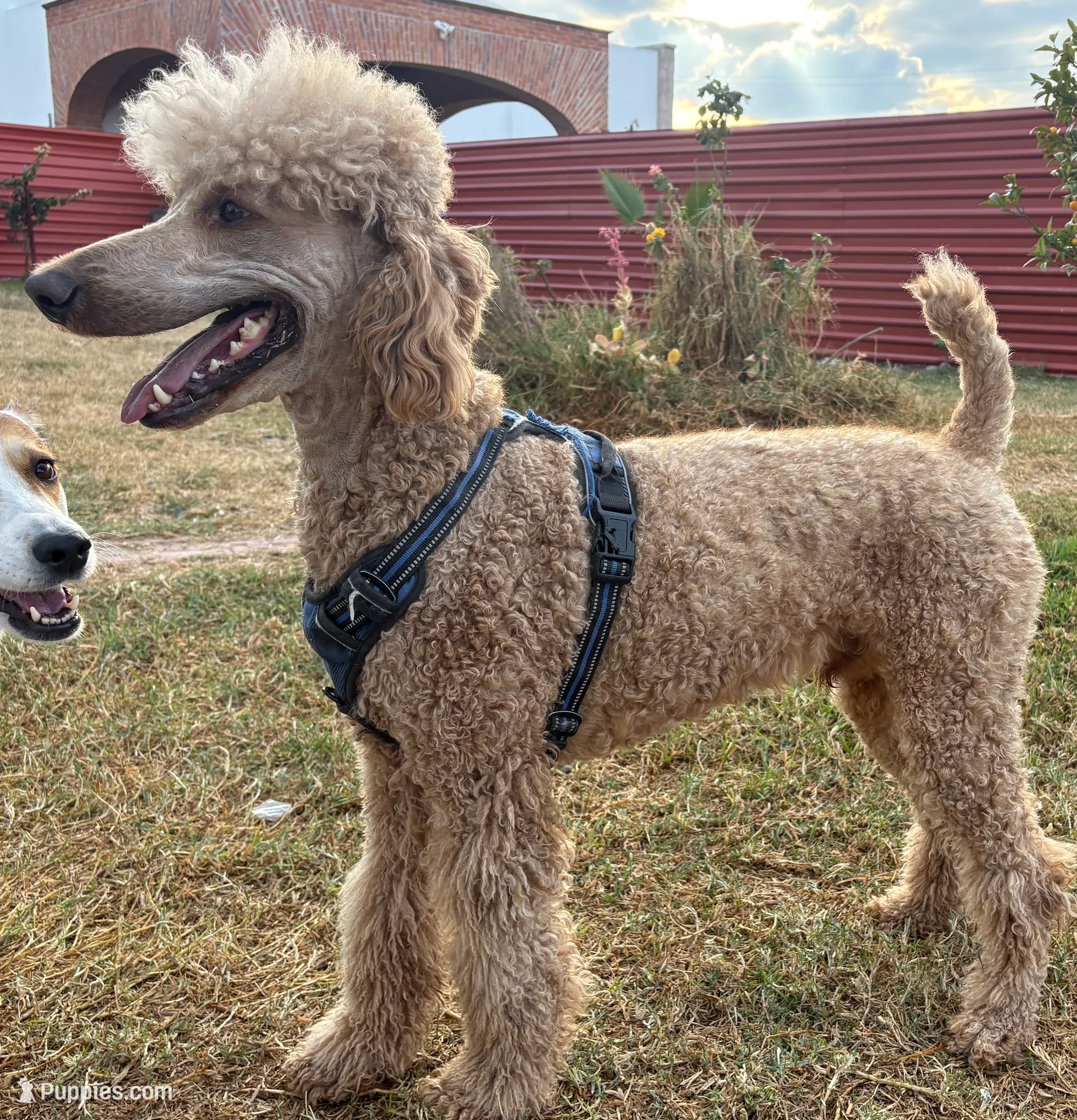 processed/1f781c95-3a2a-4261-b5df-ffe8142d0262/listing/101eddda-d90b-4898-843e-9fa398727771/9c0da715-559a-4393-aa62-9f497f318437