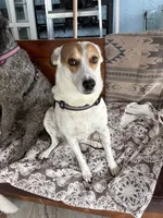 processed/1f781c95-3a2a-4261-b5df-ffe8142d0262/listing/c850b163-88e2-469b-bc2b-e1d2fb7282ef/195364e5-b6be-4342-86a7-afec3f48eae1