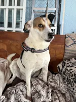 processed/1f781c95-3a2a-4261-b5df-ffe8142d0262/listing/c850b163-88e2-469b-bc2b-e1d2fb7282ef/cdcfd980-a506-4e62-9479-001c167e0af7