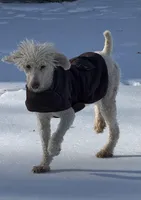 processed/1f8483cf-0a48-46e5-ae42-e8a04cc289d4/listing/31102e59-2d10-49e3-aa94-d0bb1d7059bc/82fe7f68-1dcb-4f71-87f6-2e7abf8a47b0