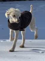 processed/1f8483cf-0a48-46e5-ae42-e8a04cc289d4/listing/31102e59-2d10-49e3-aa94-d0bb1d7059bc/83bf4a9b-be2e-42b6-baef-cebae2700dc6