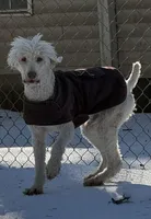 processed/1f8483cf-0a48-46e5-ae42-e8a04cc289d4/listing/31102e59-2d10-49e3-aa94-d0bb1d7059bc/a2209f76-49cc-43de-ab62-23c8413d2ac2