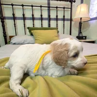 processed/1f8483cf-0a48-46e5-ae42-e8a04cc289d4/listing/d40ae5b5-a291-4a74-82c2-44a435421884/061dc8c5-0d51-4ac7-8f8b-ba6b9b1d4039