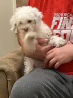 processed/1f8a9658-56dc-4bf6-af66-f048ae1701c1/listing/09504660-7594-44ec-9365-f0fbd5b033c9/a138427c-fbef-4535-9b32-9cae454be6ac