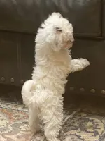 processed/1f8a9658-56dc-4bf6-af66-f048ae1701c1/listing/09504660-7594-44ec-9365-f0fbd5b033c9/a2446d15-ca6e-49d2-a645-047e91f740aa