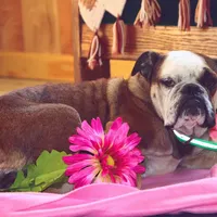 processed/1f8be596-56df-4b45-b66f-3b982b20afa7/facility/571f43a7-4908-473d-a5ad-2980e4df6001