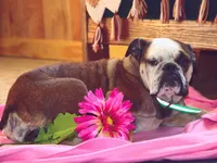 processed/1f8be596-56df-4b45-b66f-3b982b20afa7/facility/571f43a7-4908-473d-a5ad-2980e4df6001