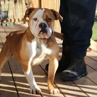 processed/1f8be596-56df-4b45-b66f-3b982b20afa7/facility/6938c142-c2db-44de-b5bb-724a8f813c58